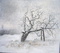 Kirschbaum im Winter